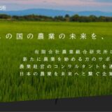 農業ビジネスを成功へ導く企業！未経験からの経営計画と成功事例を徹底解説