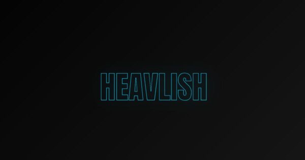 岐阜・大垣のビジネスをITで支えるHEAVLISH