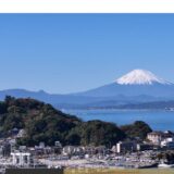 静岡の税理士ならAxia Japan税理士法人｜経営に伴走するクラウド会計事務所