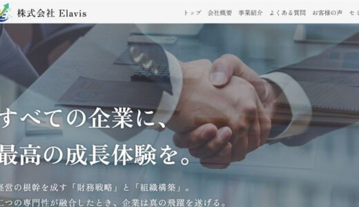 株式会社Elavisが提供する財務と組織を両輪で支える経営コンサルティング